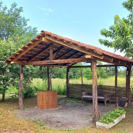 Veli Guest House • Საოჯახო Სასტუმრო Ველი Zemo Alvani Dış mekan fotoğraf