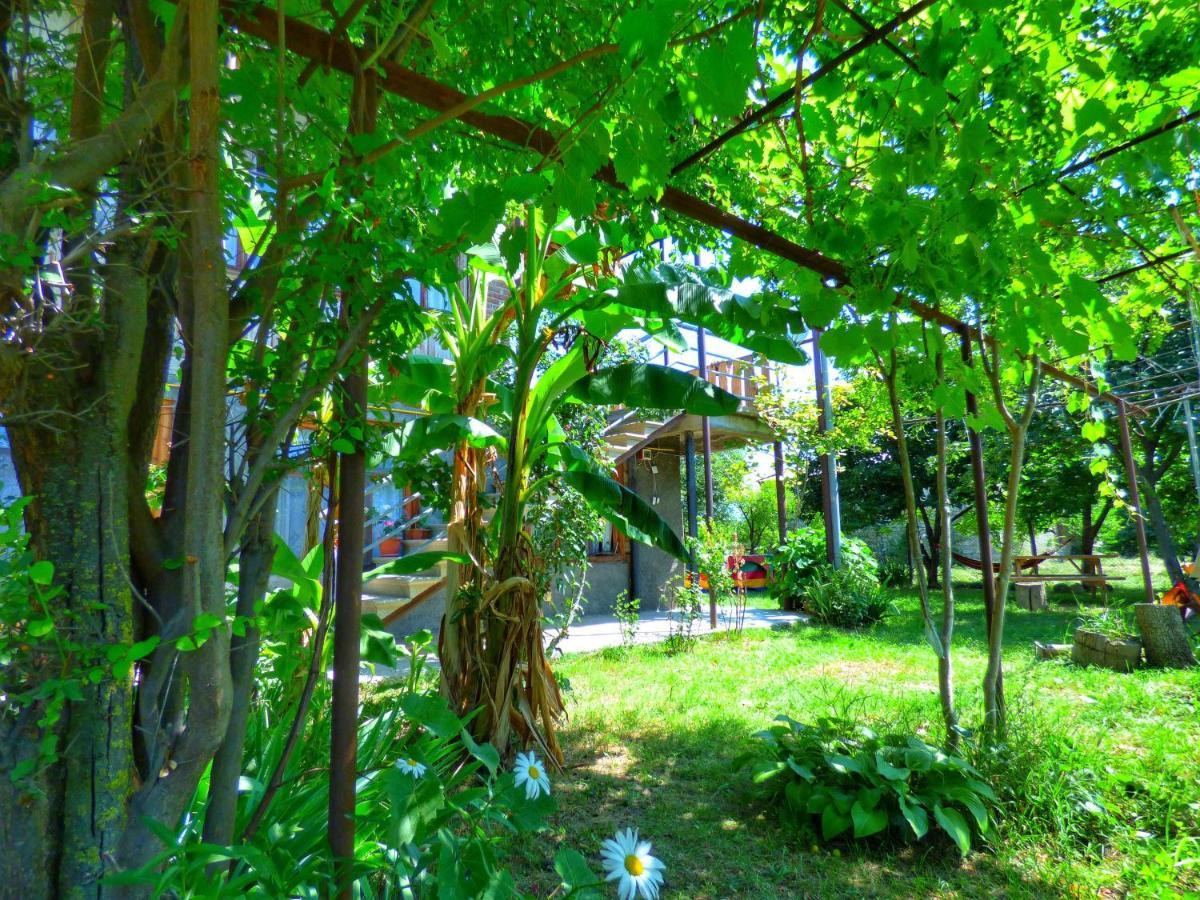 Veli Guest House • Საოჯახო Სასტუმრო Ველი Zemo Alvani Dış mekan fotoğraf