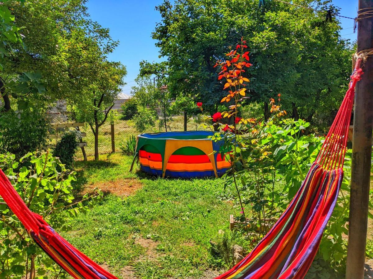 Veli Guest House • Საოჯახო Სასტუმრო Ველი Zemo Alvani Dış mekan fotoğraf