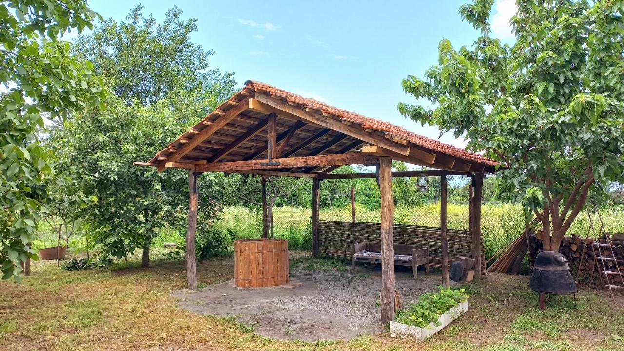 Veli Guest House • Საოჯახო Სასტუმრო Ველი Zemo Alvani Dış mekan fotoğraf