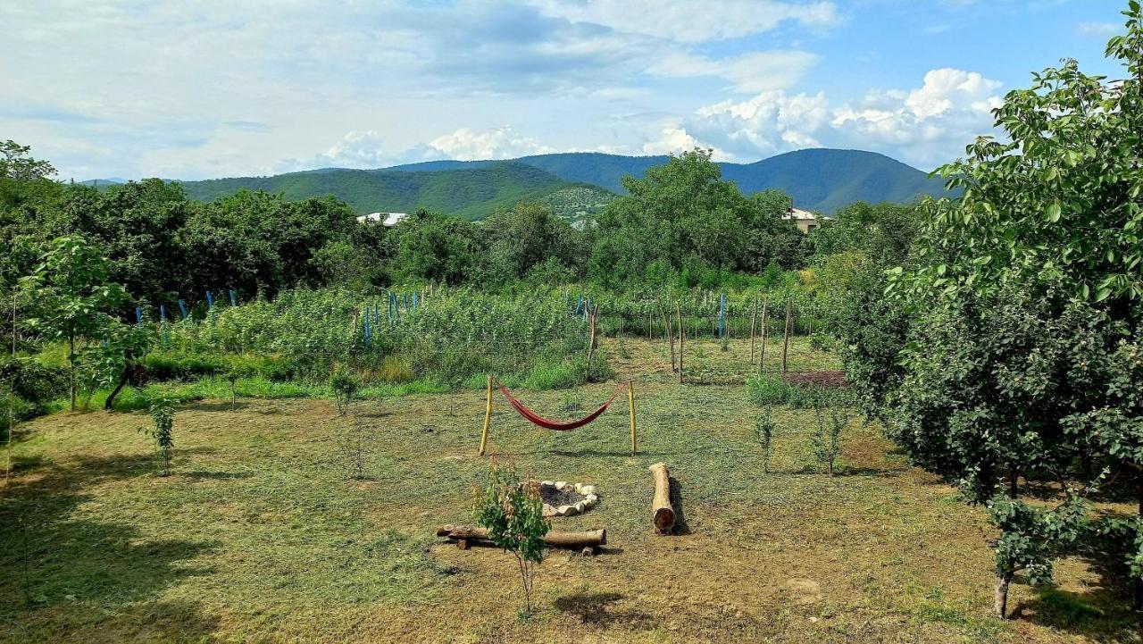 Veli Guest House • Საოჯახო Სასტუმრო Ველი Zemo Alvani Dış mekan fotoğraf