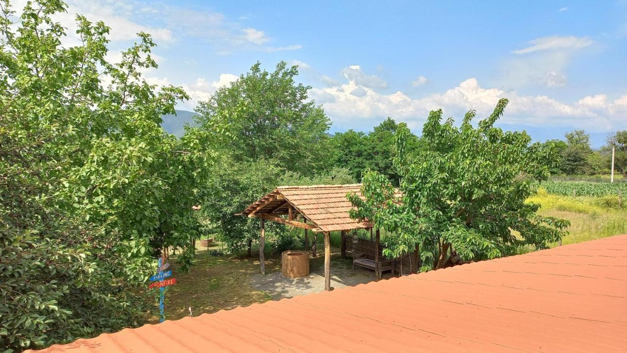 Veli Guest House • Საოჯახო Სასტუმრო Ველი Zemo Alvani Dış mekan fotoğraf